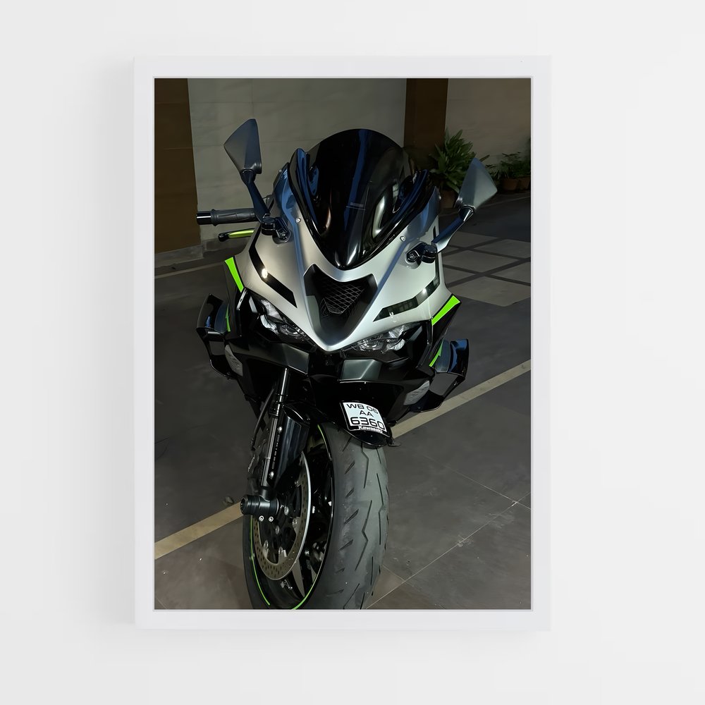 Poster du ninja énigmatique (vue 3)